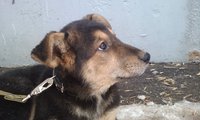 IMAG0020.jpg