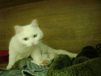 DSC04597.JPG