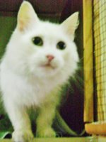 DSC04606.JPG