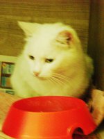 DSC04625.JPG