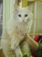 DSC04632.JPG