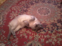 20120406162838_0010.jpg
