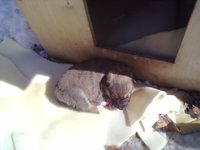 20120406162838_0010.jpg