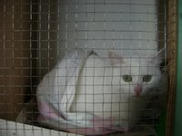 DSC04735.JPG
