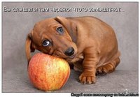 x_221b6217.jpg