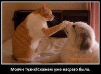 x_d5d67c45.jpg