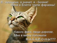 x_c367f63b.jpg