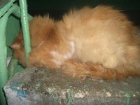 DSCF1274.jpg