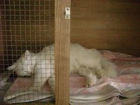 DSC04787.JPG