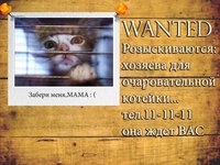 Мама забери меня.jpg