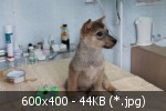 deece5aa25858baf0291cdd8ec977fa8.jpg