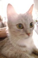 DSC00525.JPG