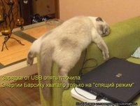 x_829ceb0a.jpg