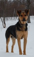 DSC_0348.JPG