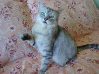 Копия Изображение 1155.jpg