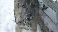 SAM_0038%20001_00014.jpg