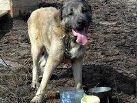 SAM_00811.jpg
