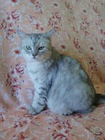 Копия Изображение 1150.jpg