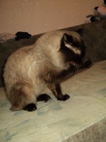 DSC01990.JPG