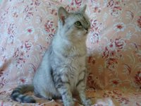 Копия Изображение 1170.jpg