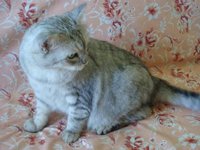 Копия Изображение 1124.jpg