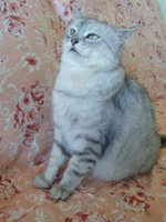 Копия Изображение 1166.jpg
