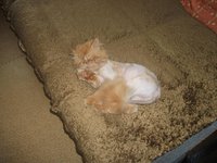 DSCF1289.jpg