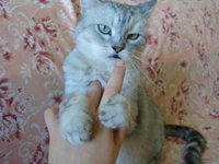 Копия Изображение 1146.jpg