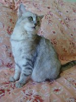 Копия Изображение 1162.jpg