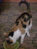 DSC04913.JPG