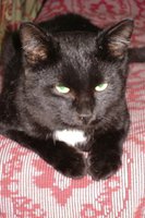 DSC00568.JPG