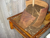 DSC03712.JPG