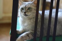 Копия IMG_7485.jpg