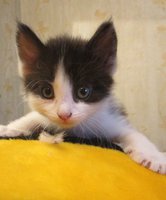 апрель 019.JPG