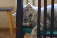 Копия IMG_7487.jpg
