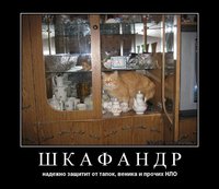 y_cf35d766.jpg