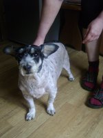 DSC04861.JPG