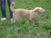 DSC04936.JPG