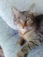 20120429222827_Pic_0412_078.jpg