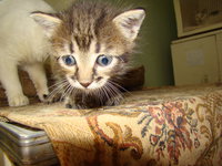 DSC04177.JPG