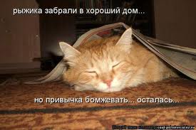 images (6).jpg