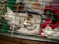 DSC04182.JPG