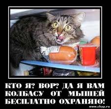 images (1).jpg