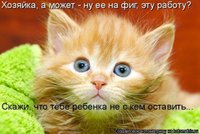 e870421d1e.jpg