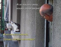 кошка.jpg