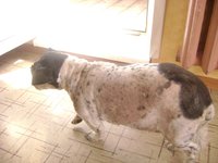 DSC05006.JPG