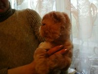 P03-05-12_20.03.jpg