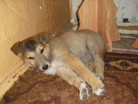 20120506220510_CIMG0561.JPG