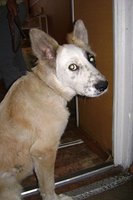 DSC00576.JPG