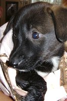 DSC00578.JPG